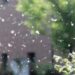 Allergie respiratorie, un Manifesto sui diritti e i doveri di chi ne soffre