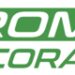 Automobilismo, presentata la seconda Roma Eco Race