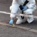Parma, donna uccisa a colpi d’arma da fuoco
