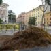 Blitz Extinction Rebellion al Viminale: scaricata una tonnellata di letame
