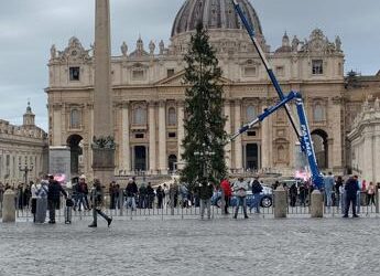 Natale, innalzato in piazza San Pietro l’albero al centro delle proteste
