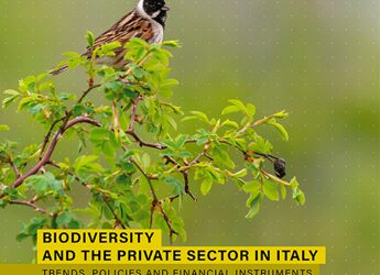 Rapporto Etifor, tutela della biodiversità è una responsabilità condivisa