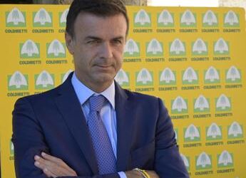 Tabacco, Prandini (Coldiretti): “Accordo decennale con Philip Morris per filiera e innovazione”