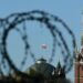 Ucraina, Russia disponibile a contatto con Usa: “Ma ancora nessuna richiesta”