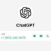 ChatGPT su WhatsApp: come chattare gratuitamente con l’IA