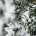 Due tempeste polari sull’Italia, crollano le temperature: le previsioni meteo