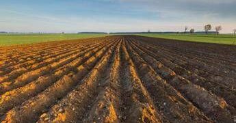 Ismea, riparte ‘Generazione Terra’, 120 mln per giovani agricoltori nel 2026