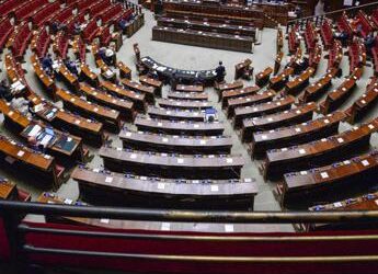 Manovra, Mangialavori (FI): “Né ritardi, né inciampi, avanti nei tempi previsti”