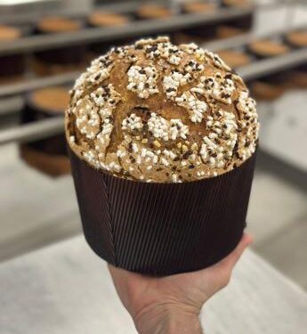 Natale, Panettone: da Nord a Sud ecco proposte innovative Maestri Accademia lievito madre
