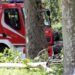 Roma, cade albero a Colli Aniene: morta una donna
