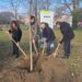 Sostenibilità, PiantiAmo il futuro: 200 alberi a Ferrara con il progetto di Nescafé