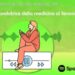 Trotula fondatrice della medicina di genere nel 1100, il podcast dell’Iss