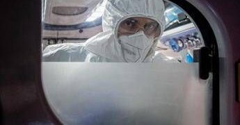 Virus Nipah in Europa e rischi contagio, cosa dice l’Ecdc e i consigli per chi viaggia