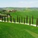 Elon Musk cerca casa in Toscana, due i castelli che hanno sedotti il miliardario