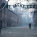 Giorno della Memoria, Meloni: “Antisemitismo non sconfitto”. Mattarella ad Auschwitz