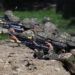 Ucraina-Russia, Mosca: “Conquistata città di Kurakhove nel Donbass”