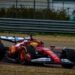 Ferrari, tifoso abbatte albero per vedere test di Fiorano – Video