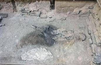 La cenere del Vesuvio del 79 d.C. trasformò il cervello umano in vetro