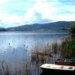 Lago Trasimeno, è crisi senza precedenti: “Interventi straordinari per salvarlo”