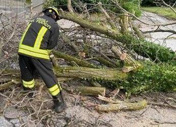 Maltempo in Toscana, naufragio a Orbetello: barche rovesciate in porto Talamone