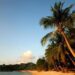 Zanzibar, 51enne veronese trovato morto in spiaggia