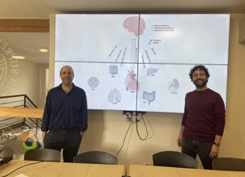 Il mistero della connessione cuore-cervello indagato a Pisa