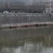Maltempo, allerta a Roma per rischio piena Tevere: chiuse banchine