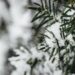Temperature giù di 10 gradi, colpo di coda dell’inverno sull’Italia