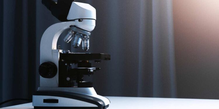 Investigazioni Private in Puglia: Servizi, Costi e Vantaggi