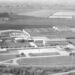 Agroalimentare, pisellini primavera Findus compiono 60 anni
