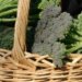 Broccoli superfood anti-aging, l’immunologo-nutrizionista: “Non può mancare 2 volte a settimana, sorprendente e salutare”