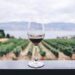 Dazi, tra timori e nuove strategie, dal mondo del vino le testimonianze dei Consorzi da Nord a Sud