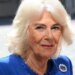 Il look della regina Camilla in Italia: sobrietà e spille ‘eredità’ di Elisabetta II