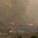 Israele in fiamme, l’appello di Hamas: “Bruciate tutto per vendicare Gaza”