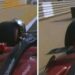 Leclerc, che succede? Si stacca lo specchietto della Ferrari nelle libere – Video