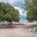 Messina, inaugurate ’10 Panchine delle meraviglie’, opera contribuisce a rigenerazione urbana