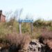 Nella laguna di Venezia ‘ostriarium’ con 300 gusci di ostriche