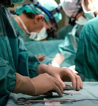 Ricerca, al Bambino Gesù fegati tenuti in vita per studi su malattie metaboliche