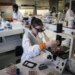Tumori della testa e collo, studio ‘con pembrolizumab -27% rischio recidiva o morte’