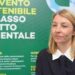 Bonvicini (Agende 21): “Cam per un futuro sostenibile, dai Comuni alle scuole”