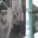 Covid, allo Spallanzani mostra fotografica per non dimenticare sforzi e generosità operatori