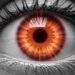 Infrarosso visibile: nuove lenti a contatto rivoluzionano la vista dell’essere umano
