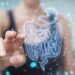 Microbiota fondamentale per il benessere, studio svela il perché
