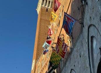 Palio di Siena, estratte Lupa, Oca, Bruco, Valdimontone e Pantera