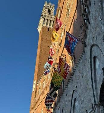 Palio di Siena, estratte Lupa, Oca, Bruco, Valdimontone e Pantera
