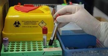 Tumori, nuovo test del sangue ‘low cost’ promette di scoprire diversi tipi di cancro