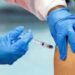 Vaccini motore di longevità, ‘negli adulti leva strategica per invecchiamento attivo’