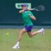 Atp Halle, oggi Sinner-Hanfmann – Il match in diretta