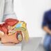 Cancro prostata avanzato, Ema raccomanda terza indicazione per darolutamide