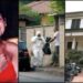 Caso Garlasco, si riparte dalla spazzatura casa Poggi mai analizzata